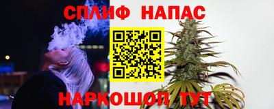 молекула духа Славгород
