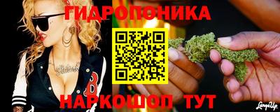 молекула духа Славгород