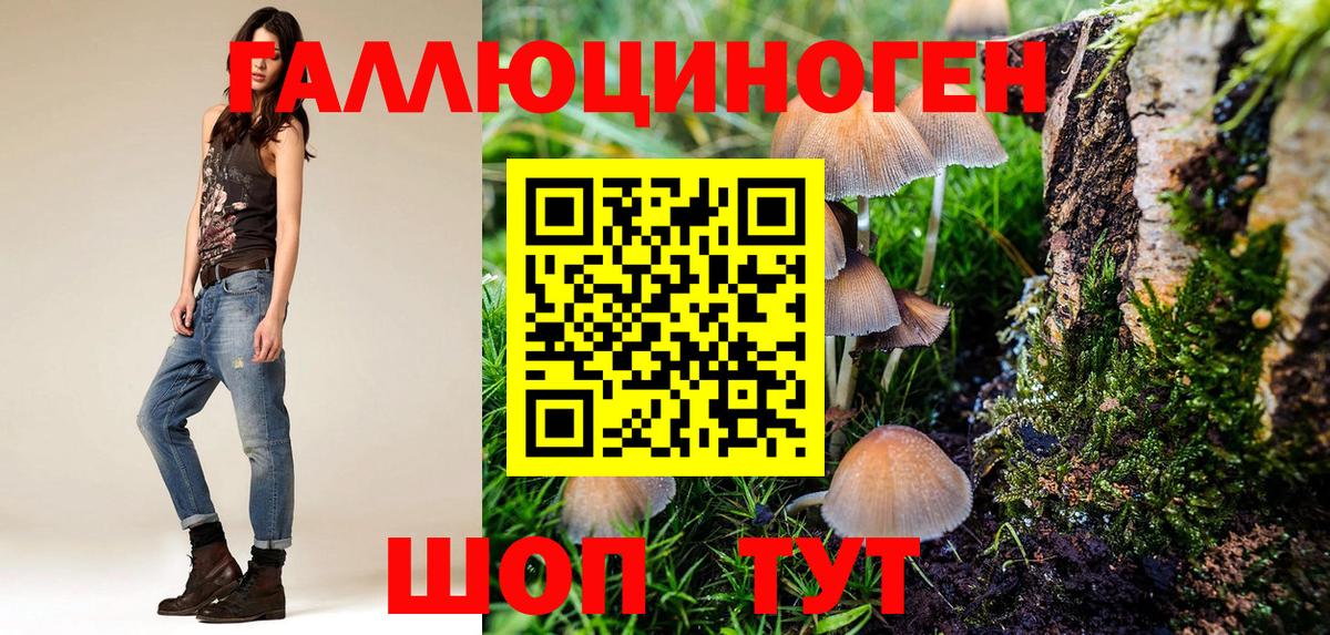 Майский  Псилоцибиновые грибы прущие грибы  Галлюциногенные грибы GOLDEN TEACHER  Вход с VPN 