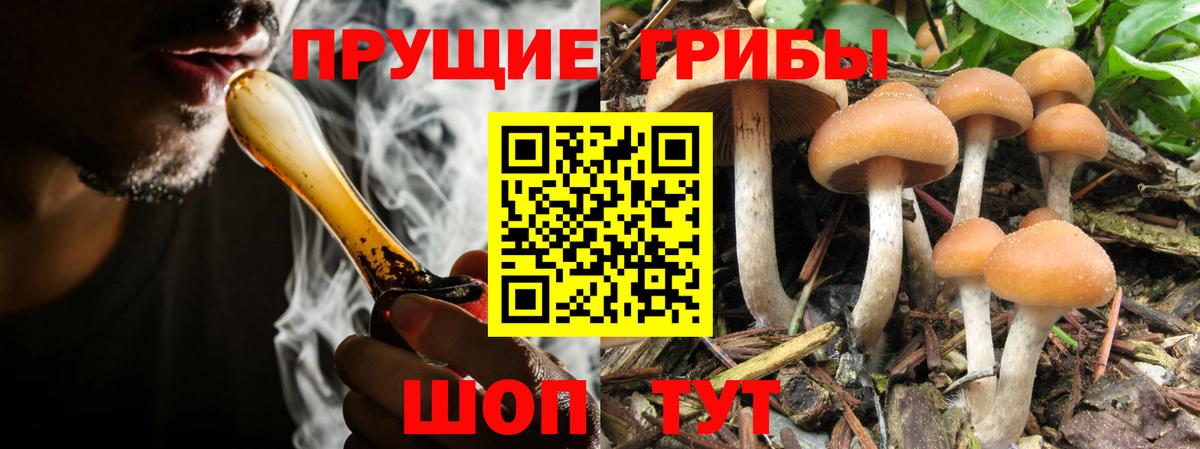 Псилоцибиновые грибы MAGIC MUSHROOMS Майский